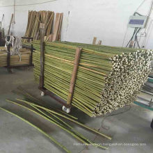 high quality stakes bamboo poles moso bamboo poles sale